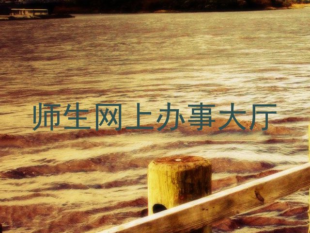 师生网上办事大厅