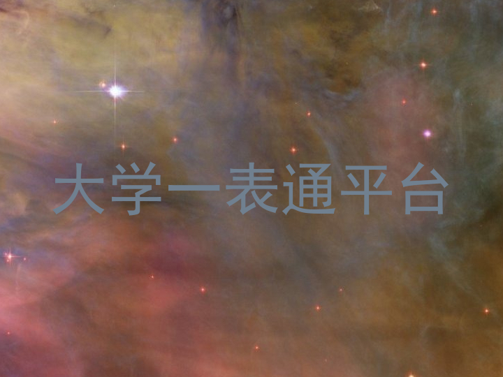 大学一表通平台