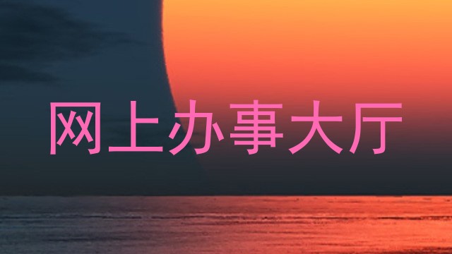 网上办事大厅