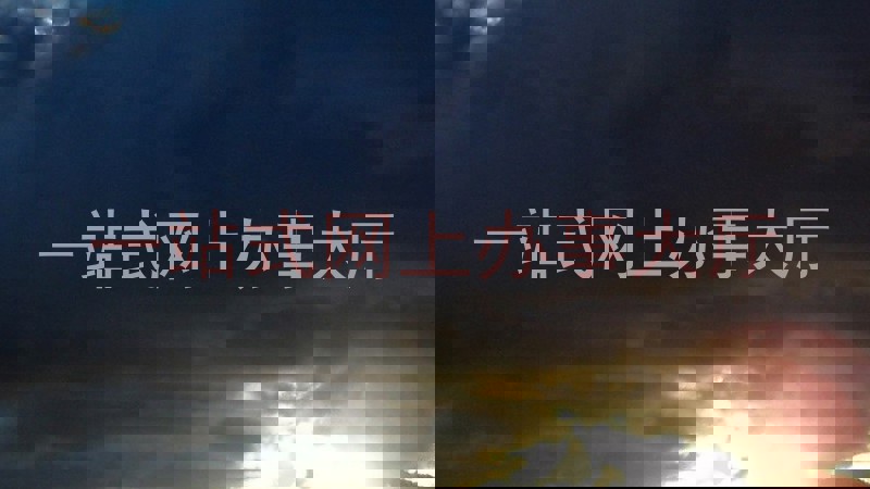 一站式网上办事大厅
