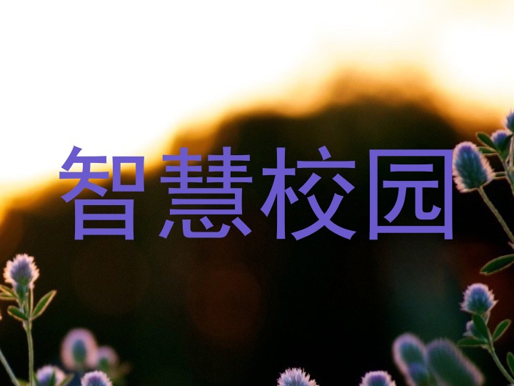 智慧校园
