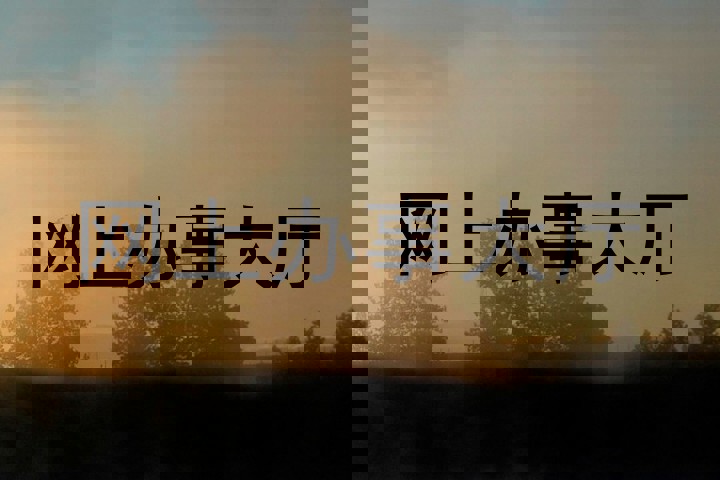 网上办事大厅
