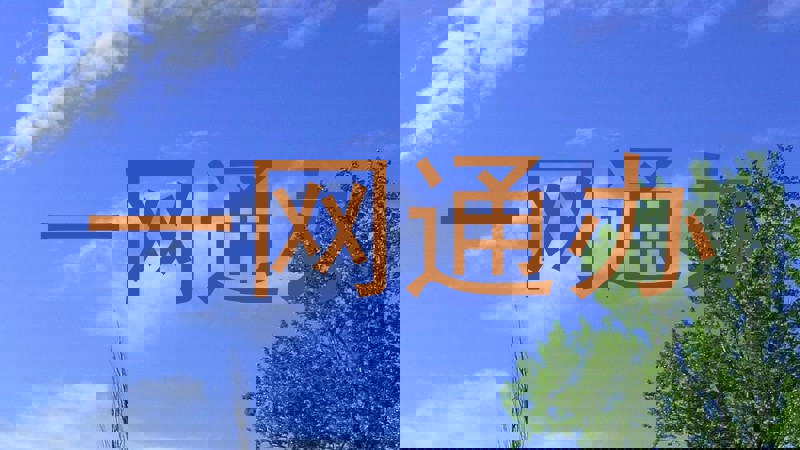 一网通办