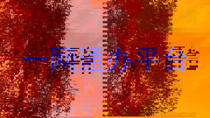 师生一网通办平台