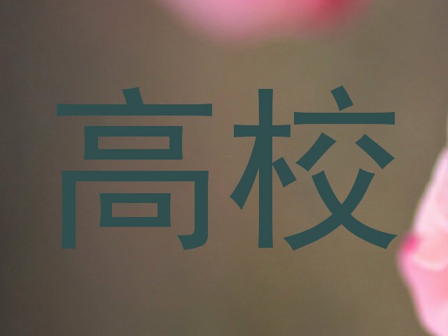 高校