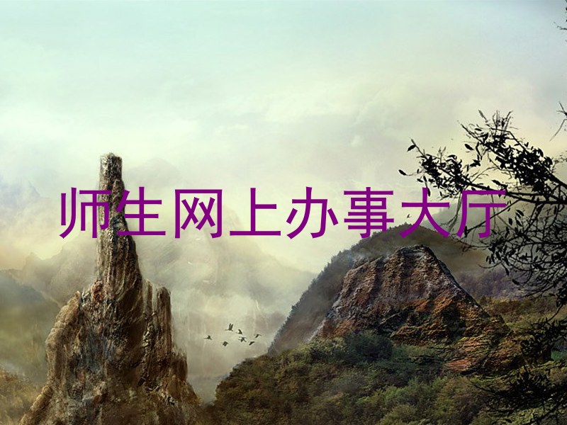 师生网上办事大厅