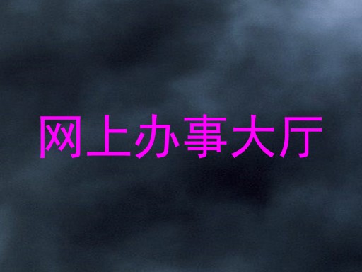 网上办事大厅