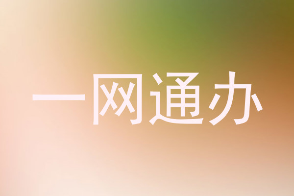 一网通办