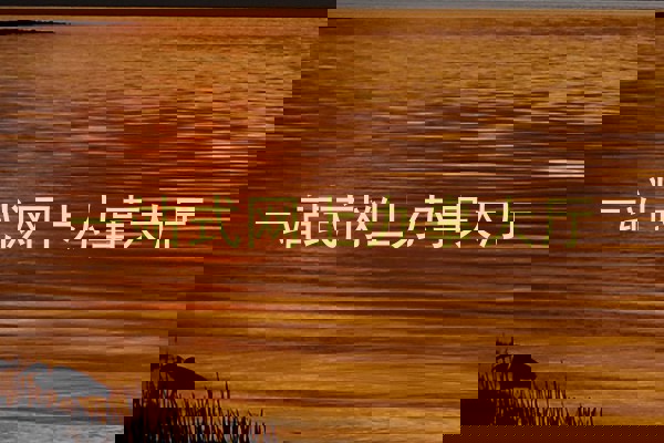 一站式网上办事大厅