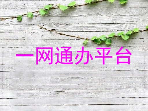 一网通办平台