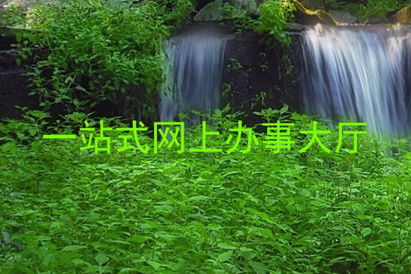 一站式网上办事大厅