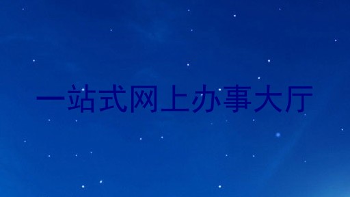 一站式网上办事大厅