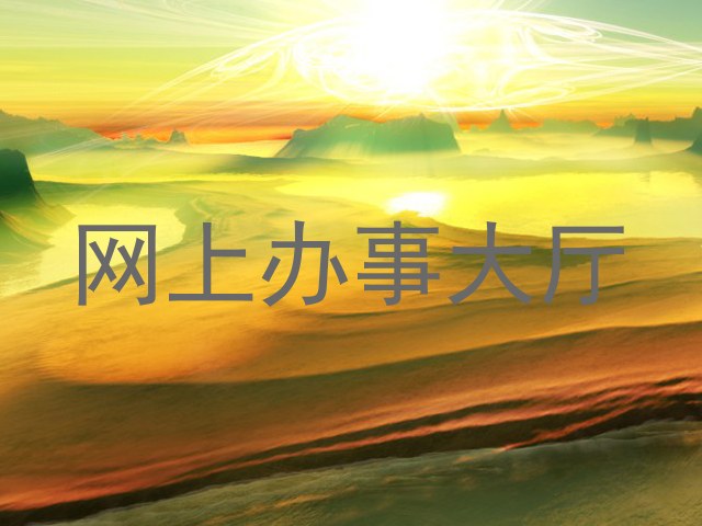 网上办事大厅