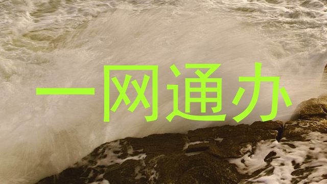 一网通办