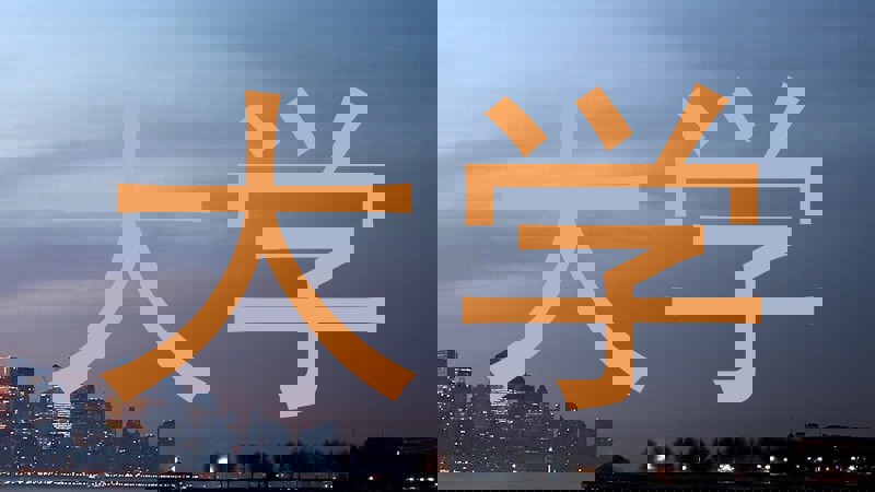 大学