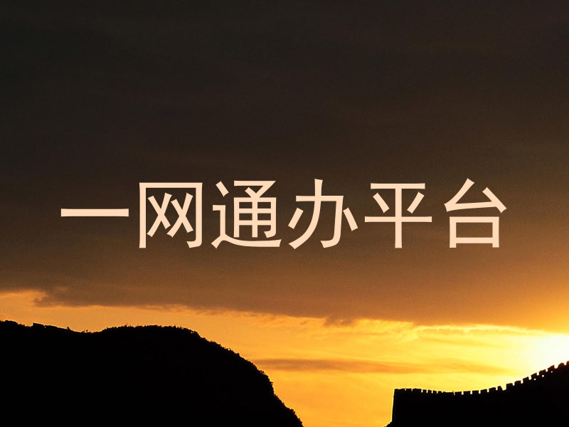 一网通办