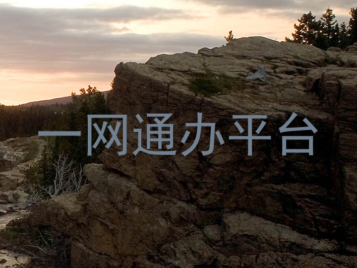 一网通办平台