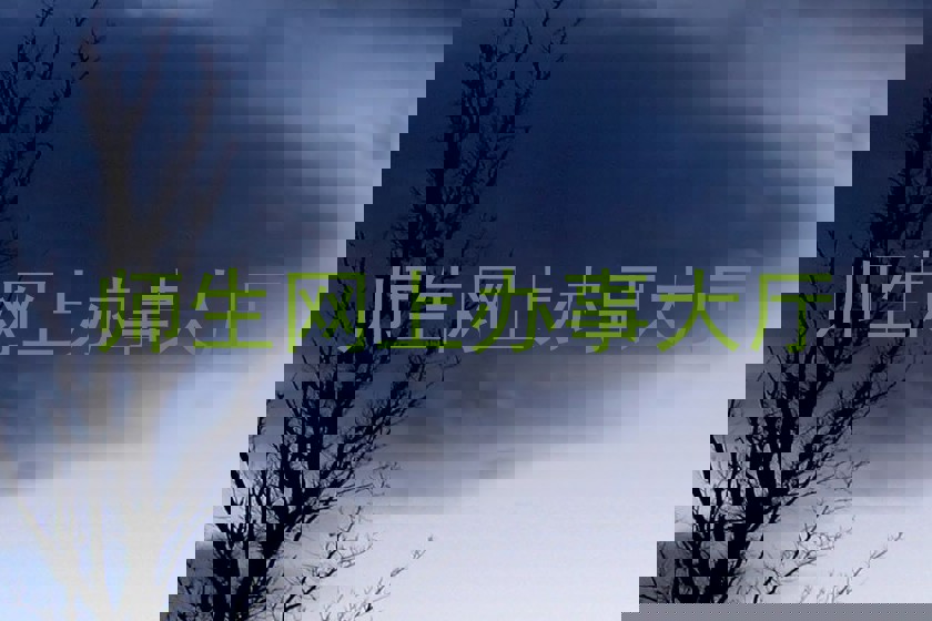 师生网上办事大厅