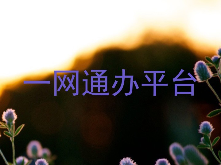 一网通办平台