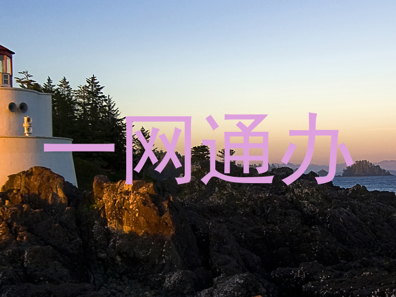 一网通办