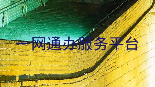 一网通办服务平台