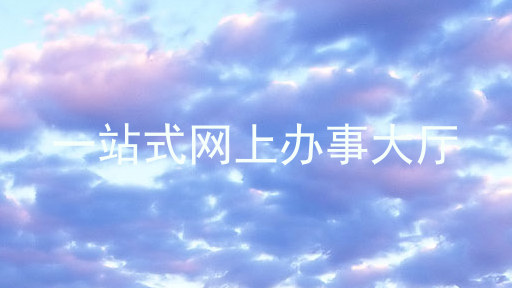 一站式网上办事大厅