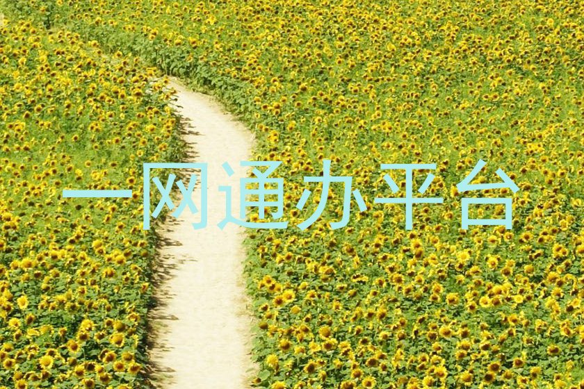 一网通办平台