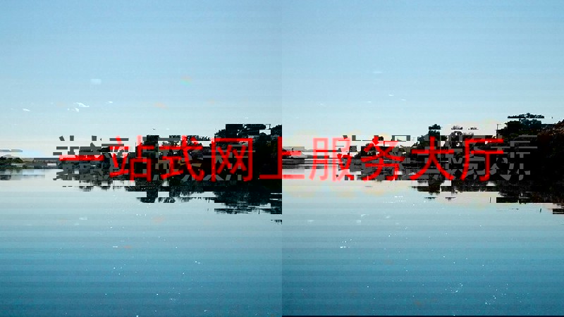 一站式网上服务大厅