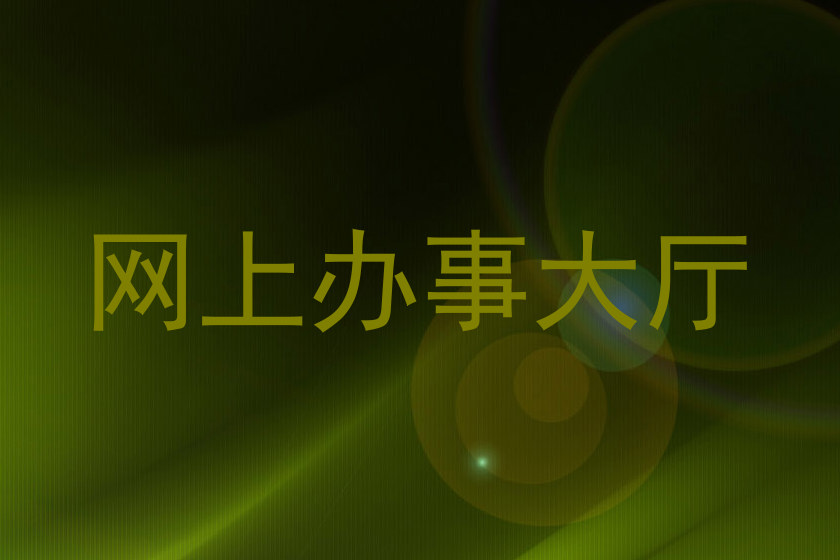 网上办事大厅