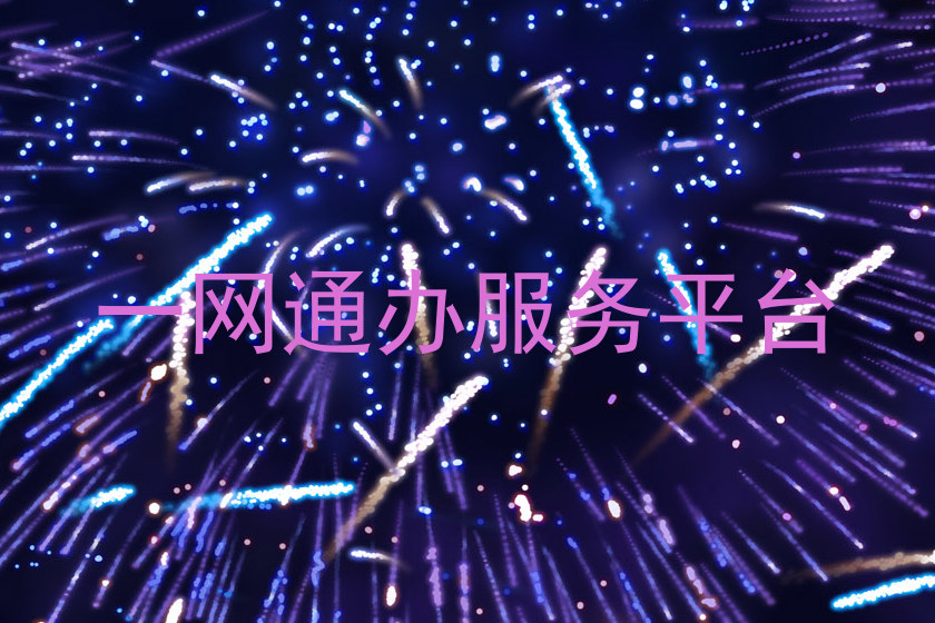 一网通办服务平台