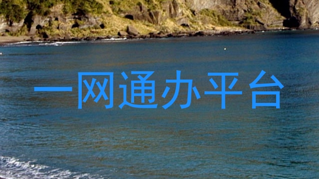 一网通办平台