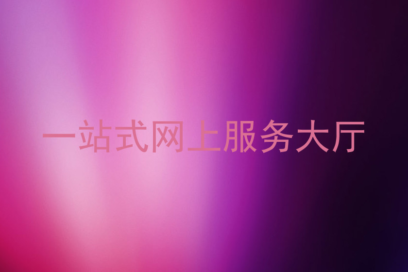 一站式网上服务大厅