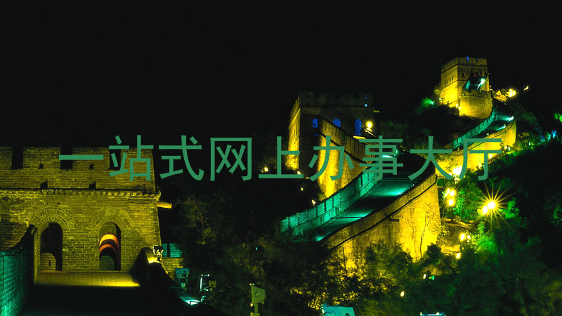 一站式网上办事大厅