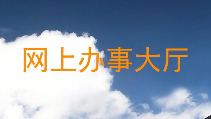 网上办事大厅
