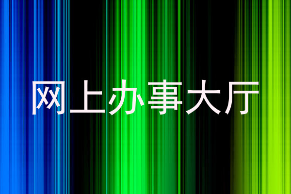 网上办事大厅