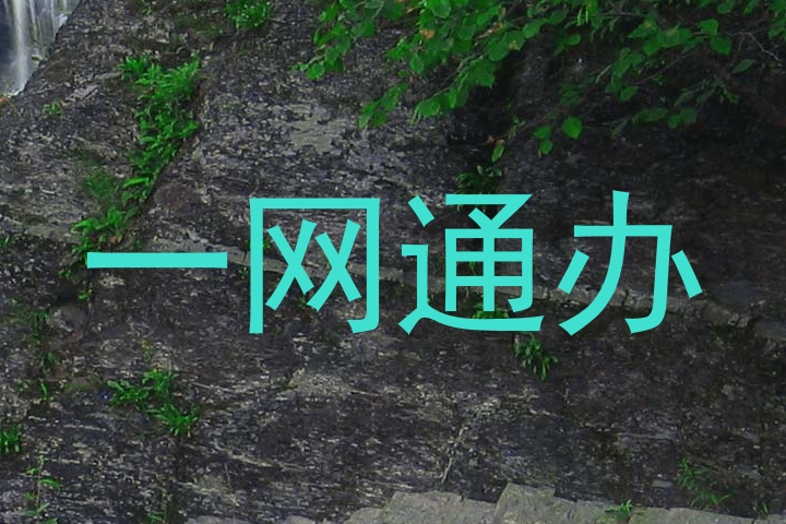一网通办