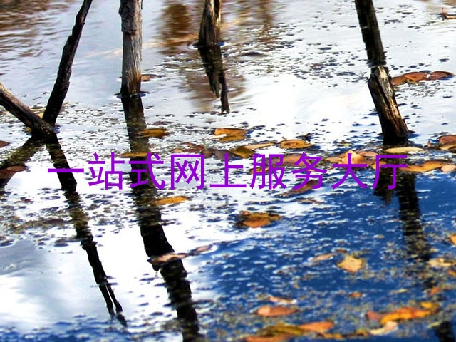 一站式网上服务大厅