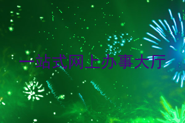一站式网上办事大厅