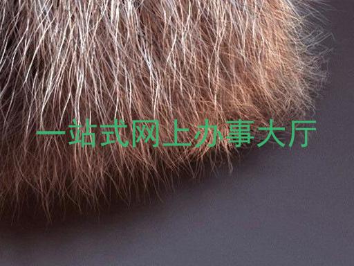 一站式网上办事大厅