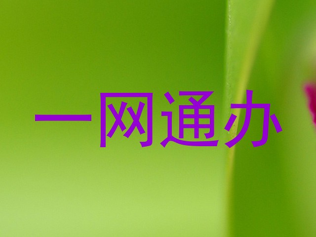 一网通办