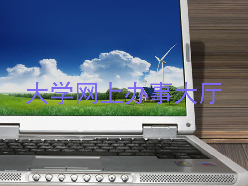 大学网上办事大厅