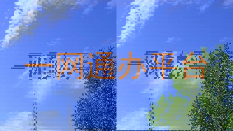 一网通办平台