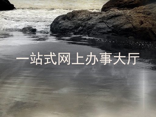 一站式网上办事大厅