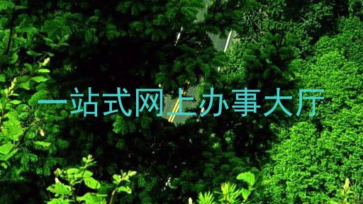 一站式网上办事大厅