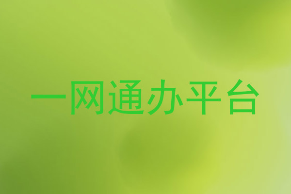 一网通办平台