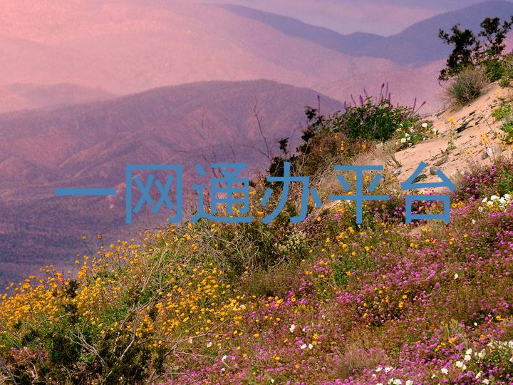 一网通办平台