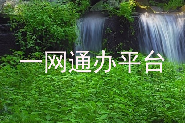 师生一网通办平台