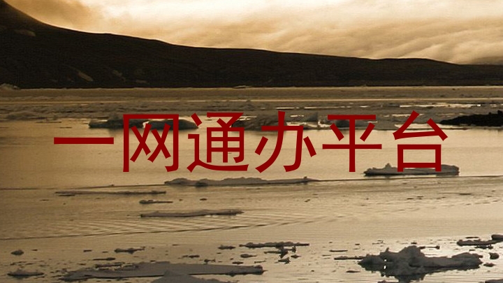 一网通办平台