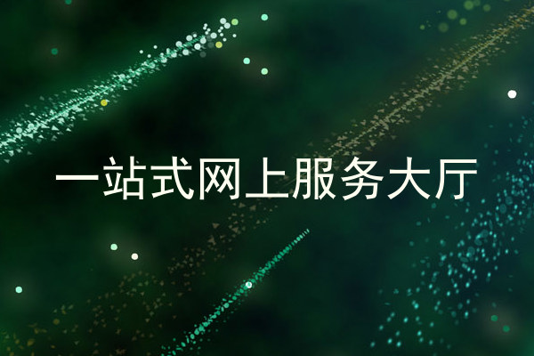 一站式网上服务大厅