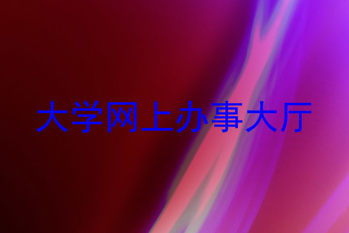 大学网上办事大厅